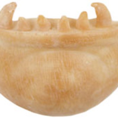 Grimas Latex Werewolf Chin